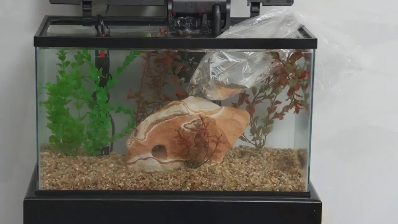 How To Install A 55-Gallon Aquarium Hood And Light