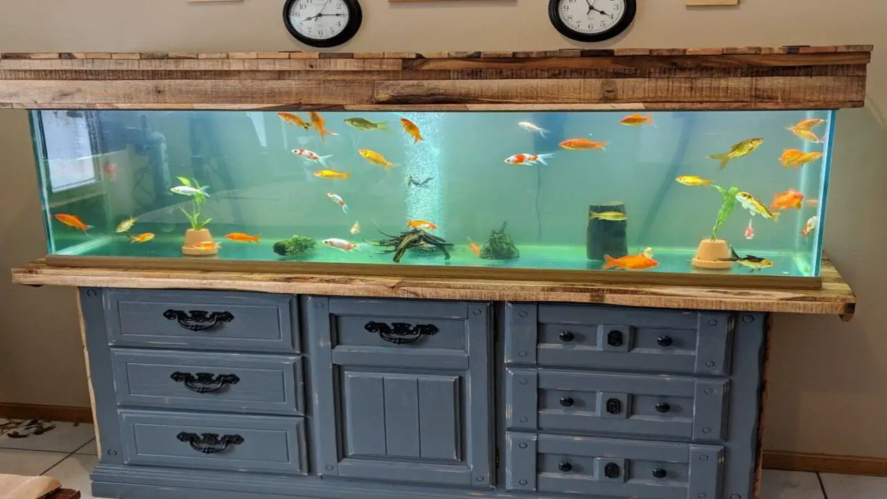 How To Set Up A Fish Tank Dresser - Step-By-Step