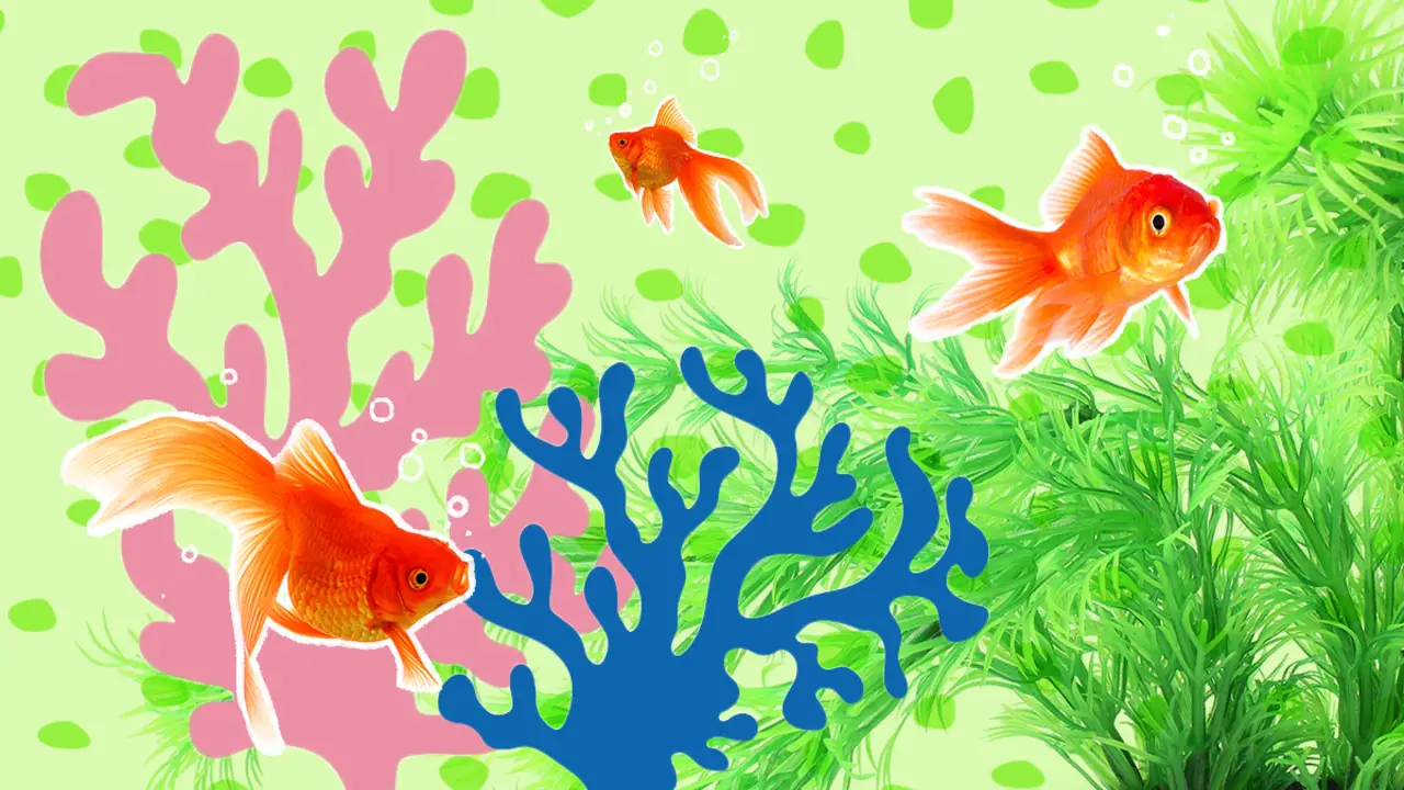 Ingredients To Look For In Aquarium-Safe Paint