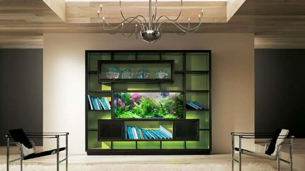 Key Features And Benefits Of Fish Tank Near Fireplace