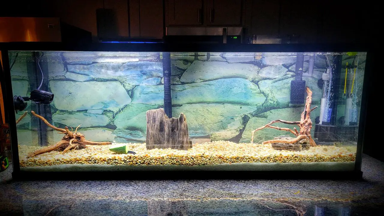 Safety Measures While Crafting Diy-Pleco Caves