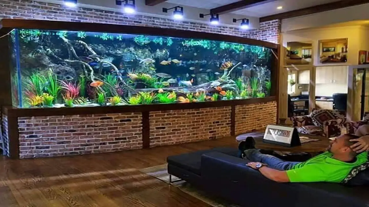 Step-By-Step Guide To Constructing A Fish Tank Fireplace