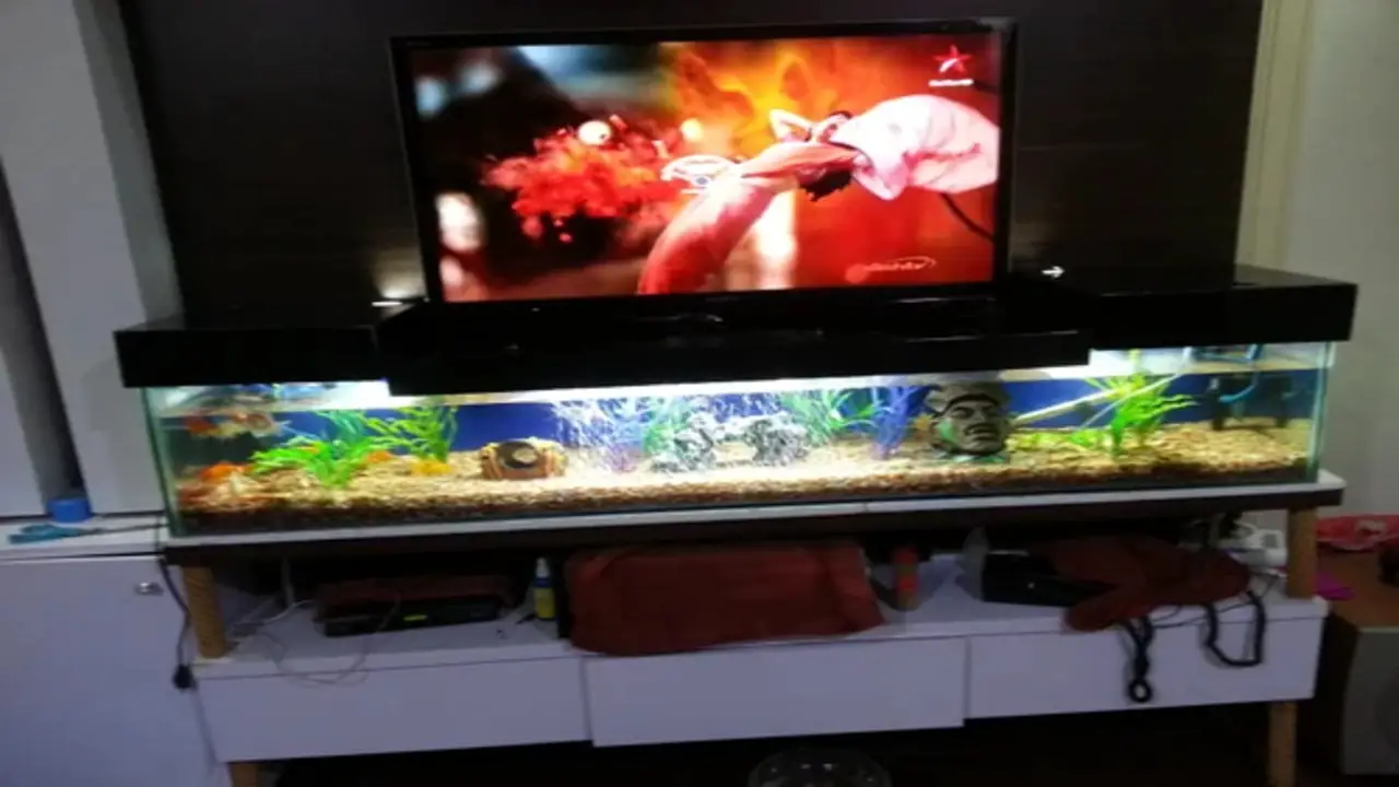 Upgrade Your Entertainment With A TV Aquarium Stand