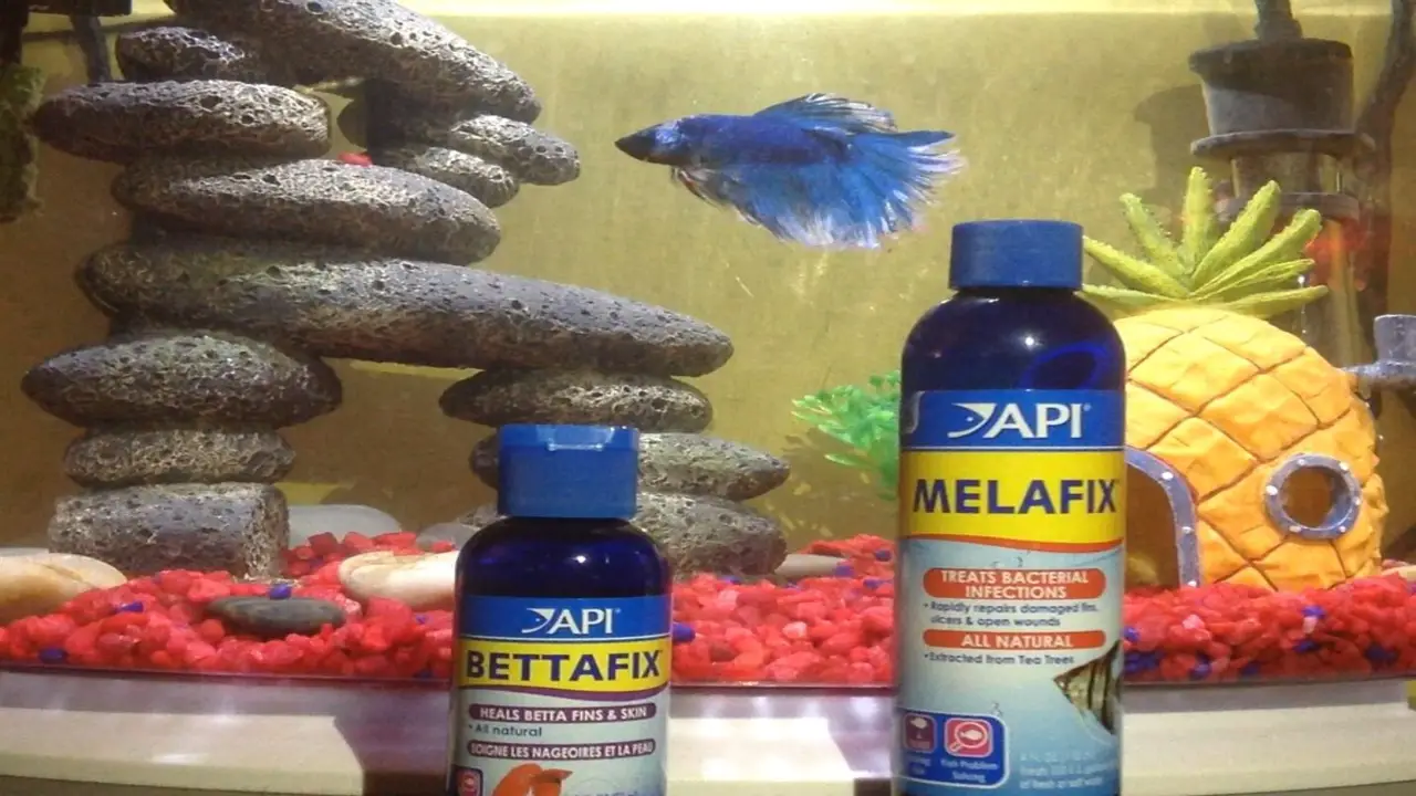 What Is Melafix, And How Does It Work For Betta Fish