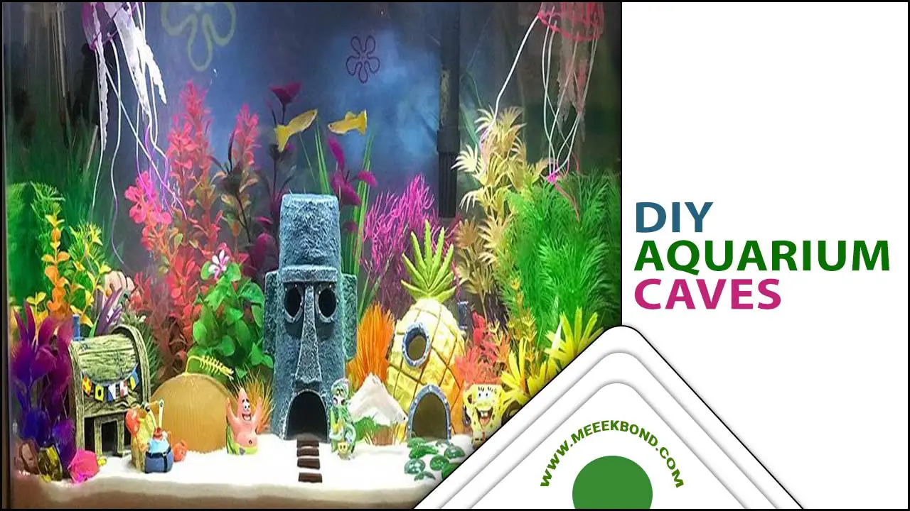 DIY Aquarium Caves Ideas (Functional And Natural-Looking)