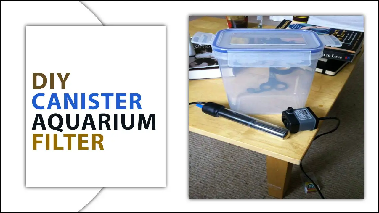 The Ultimate Guide To Build DIY Canister Aquarium Filter