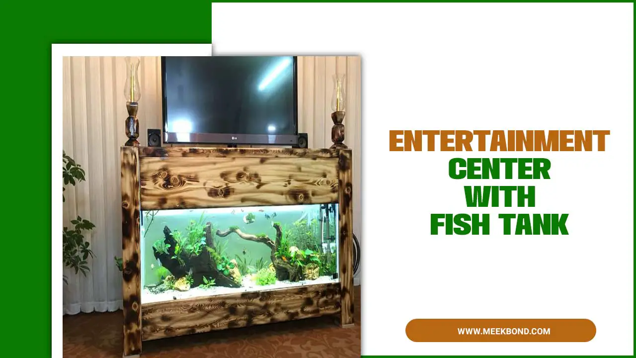 Entertainment Center With Fish Tank – A Unique Design