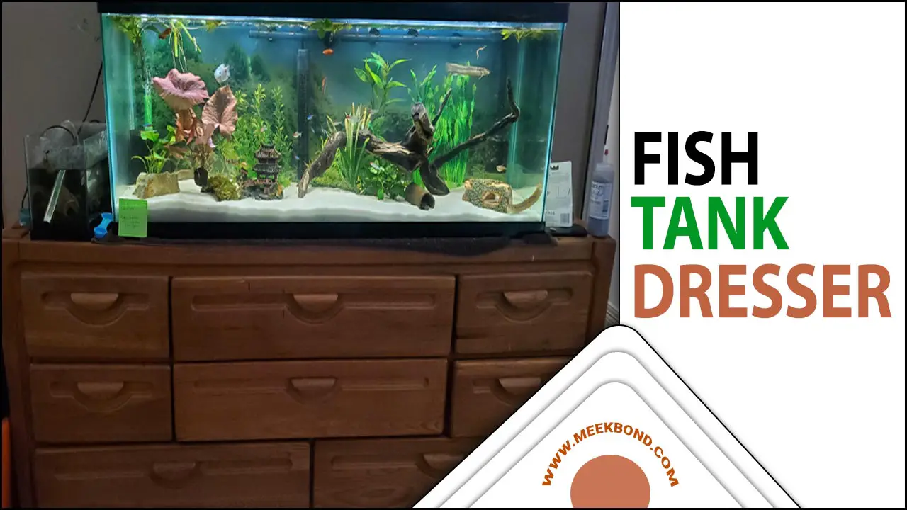 Enhance Your Home Decor With A Fish Tank Dresser