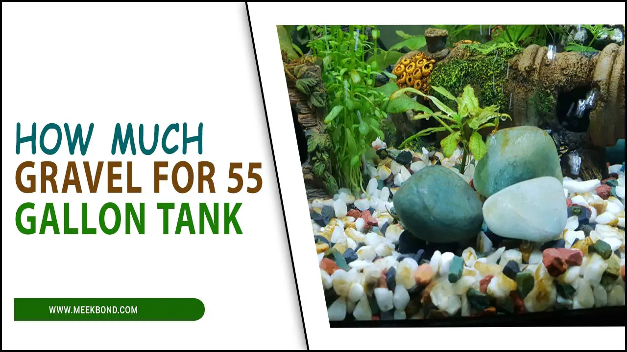 Gravel Calculations Made Easy: How Much Gravel For 55 Gallon Tank