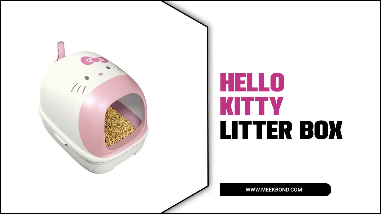 Hello Kitty Litter Box: The Cutest Solution