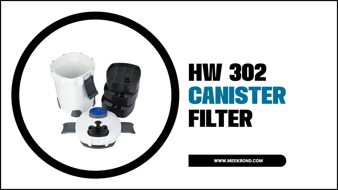 Upgrade Your Aquarium With HW 302 Canister Filter