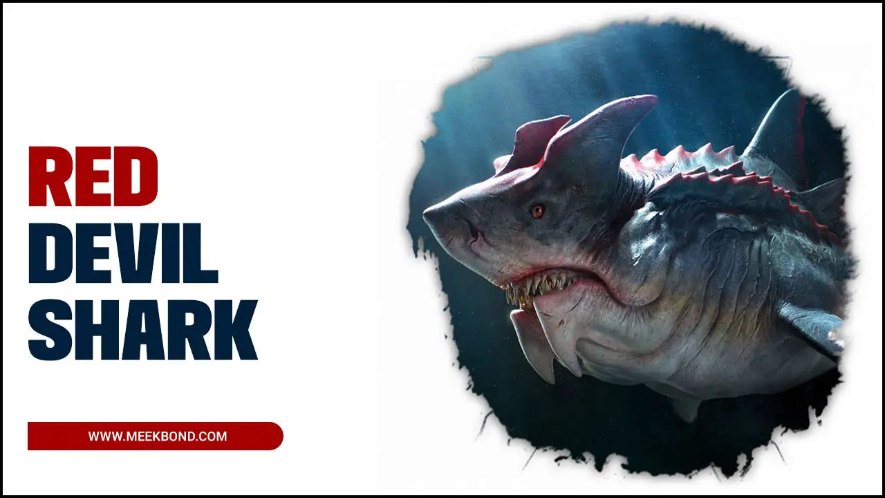 Red Devil Shark: The Fierce Hunter Of The Ocean