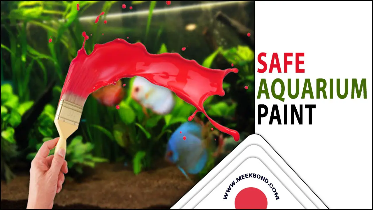 From Dull To Dazzling: Using Safe Aquarium Paint