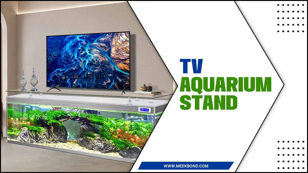 Enhance Your Living Space With A TV Aquarium Stand