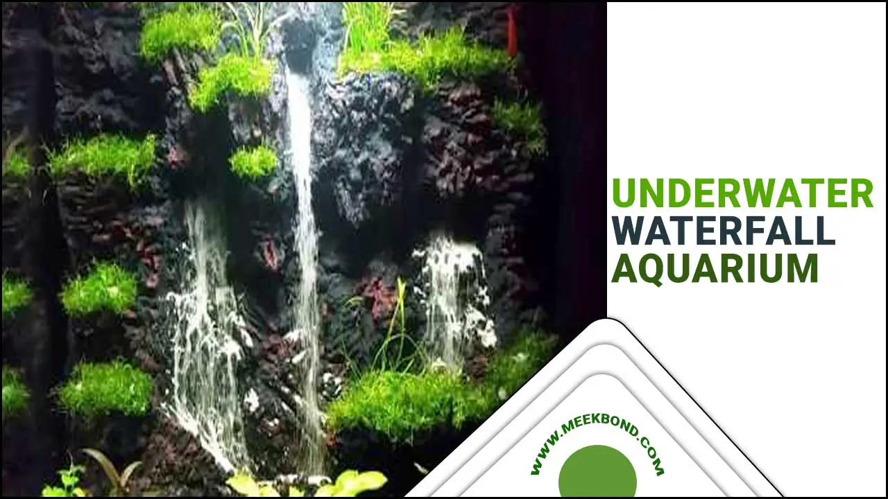 Creating An Underwater Waterfall Aquarium Illusion