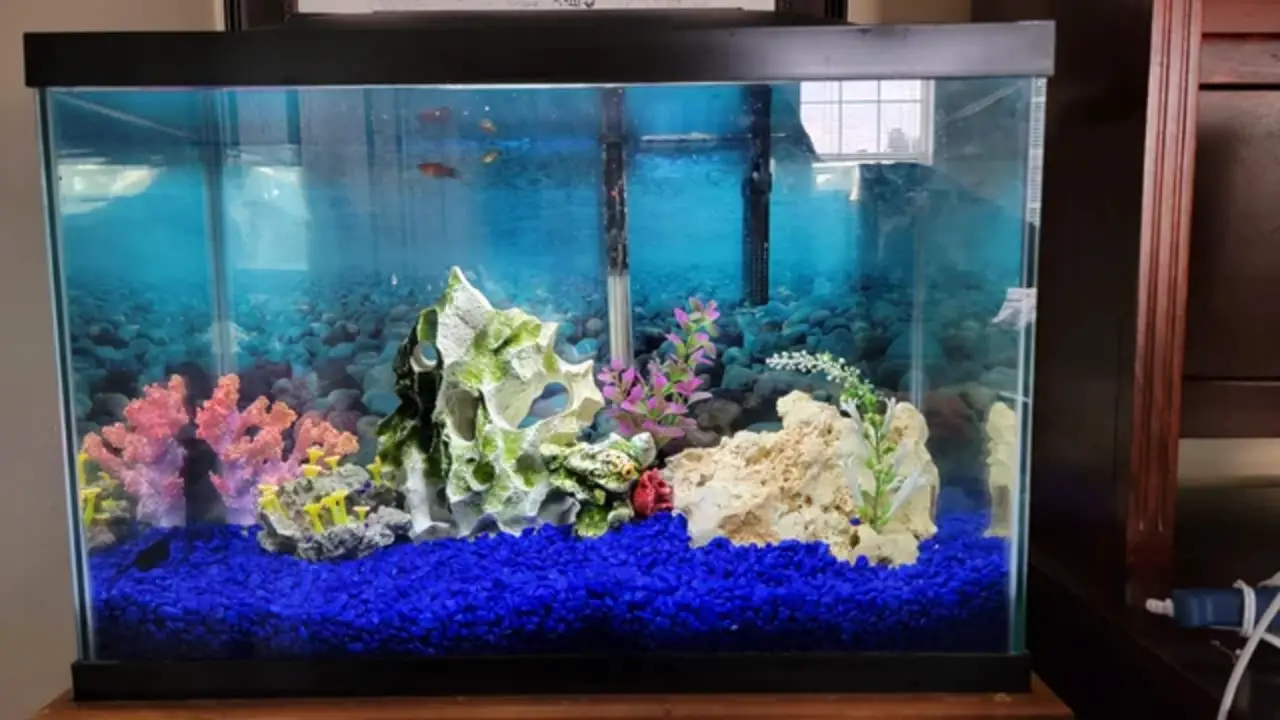 Best Crayfish Tank Ideas For Your Aquarium