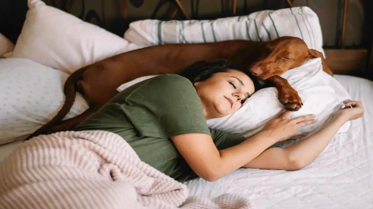  Health Risks Associated With Sleeping With Your Dog