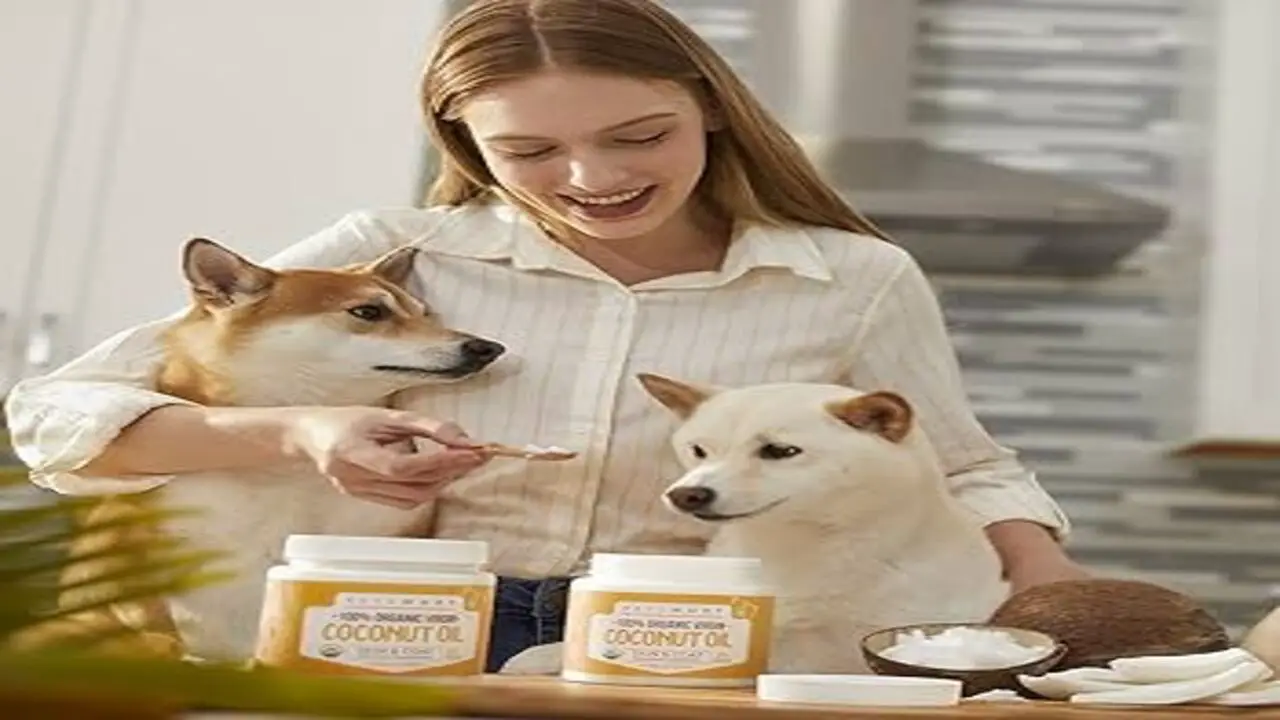 How To Give Your Dog Coconut Oil