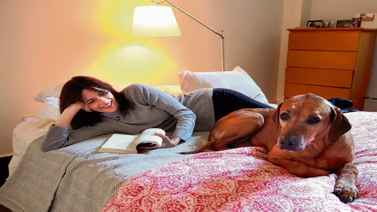 Letting Your Dog Sleep In Your Bed Cesar Millan Advantages