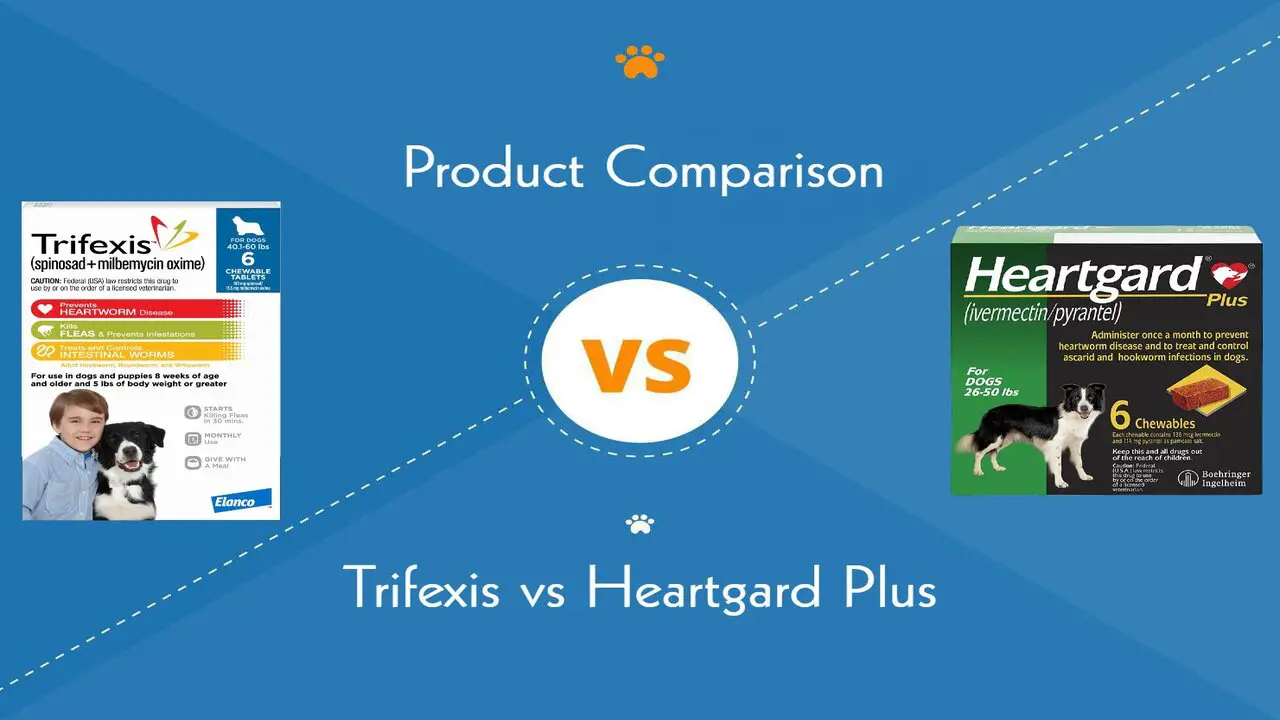 Which Is The Best Between Trifexis And Nexgard