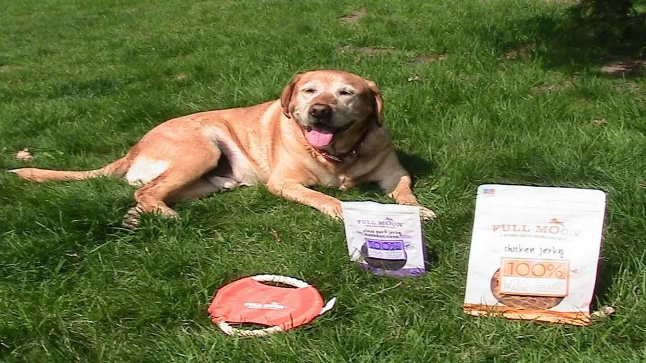 How The Full Moon Dog Treats Recall Sparks A Debate On Pet Food Safety