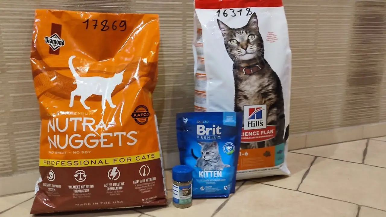 How To Feed Nutra Nuggets Cat Food - Tips And Tricks