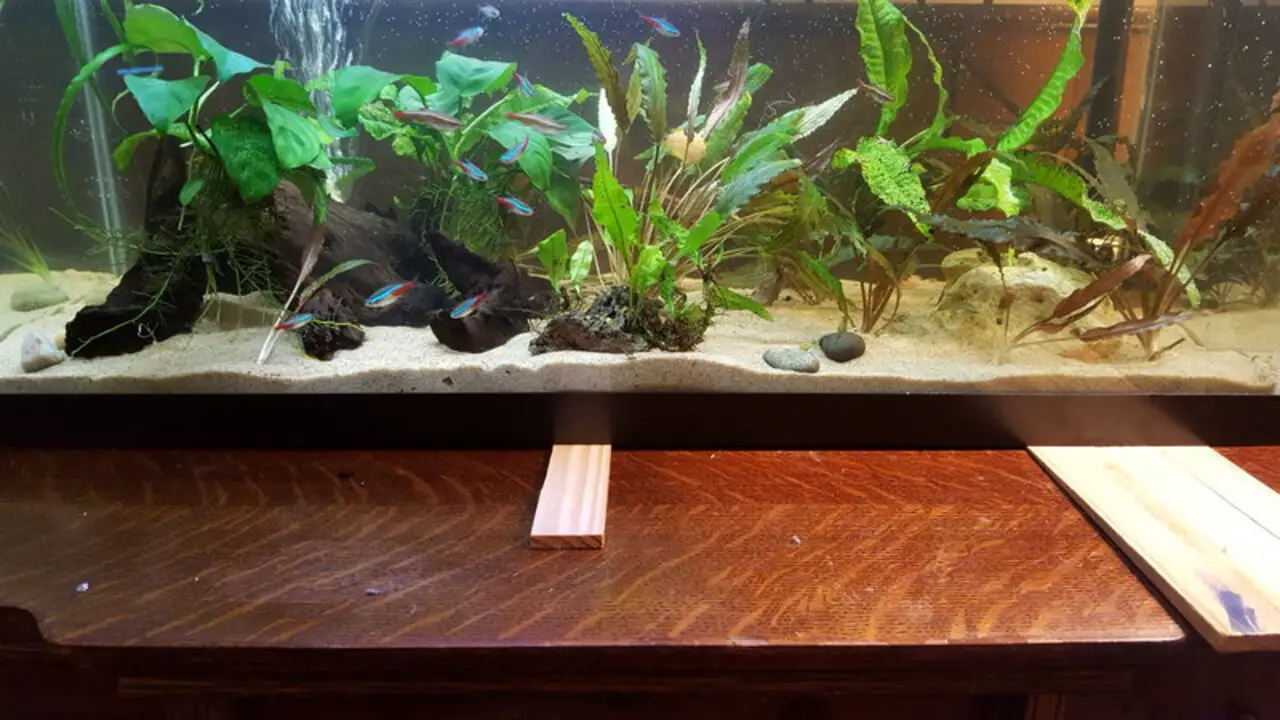 Precautions To Take While Using Metal Shims For Aquarium Stands
