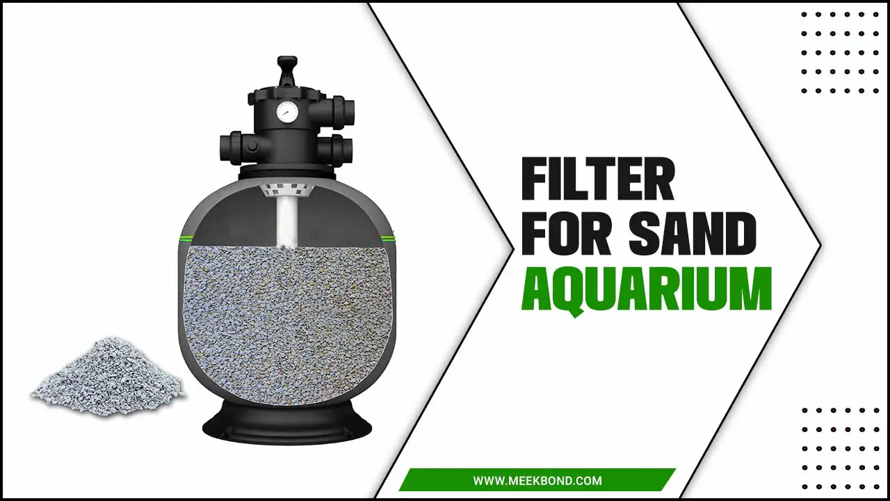 Filter For Sand Aquarium: A Guide To Choosing The Perfect Filter