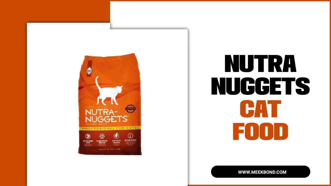 How To Feed Nutra Nuggets Cat Food – The Ultimate Guide