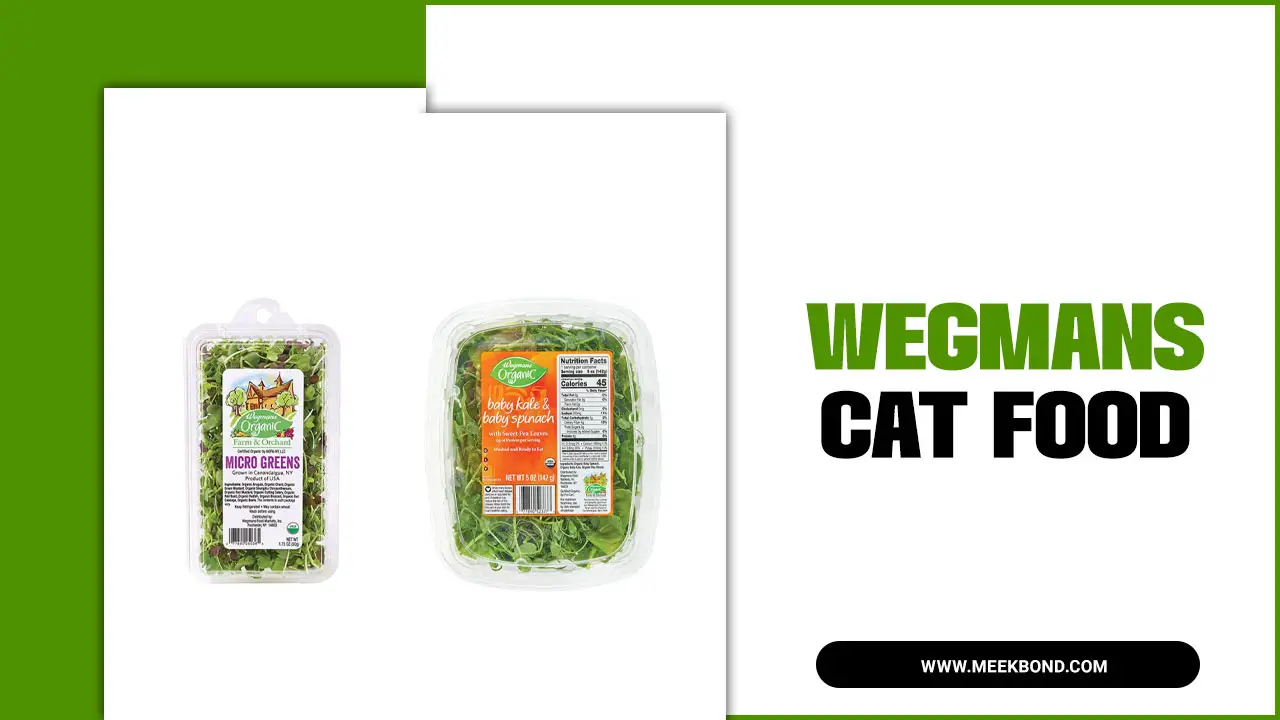 Wegmans Cat Food: The Smart Choice For Your Feline Friend