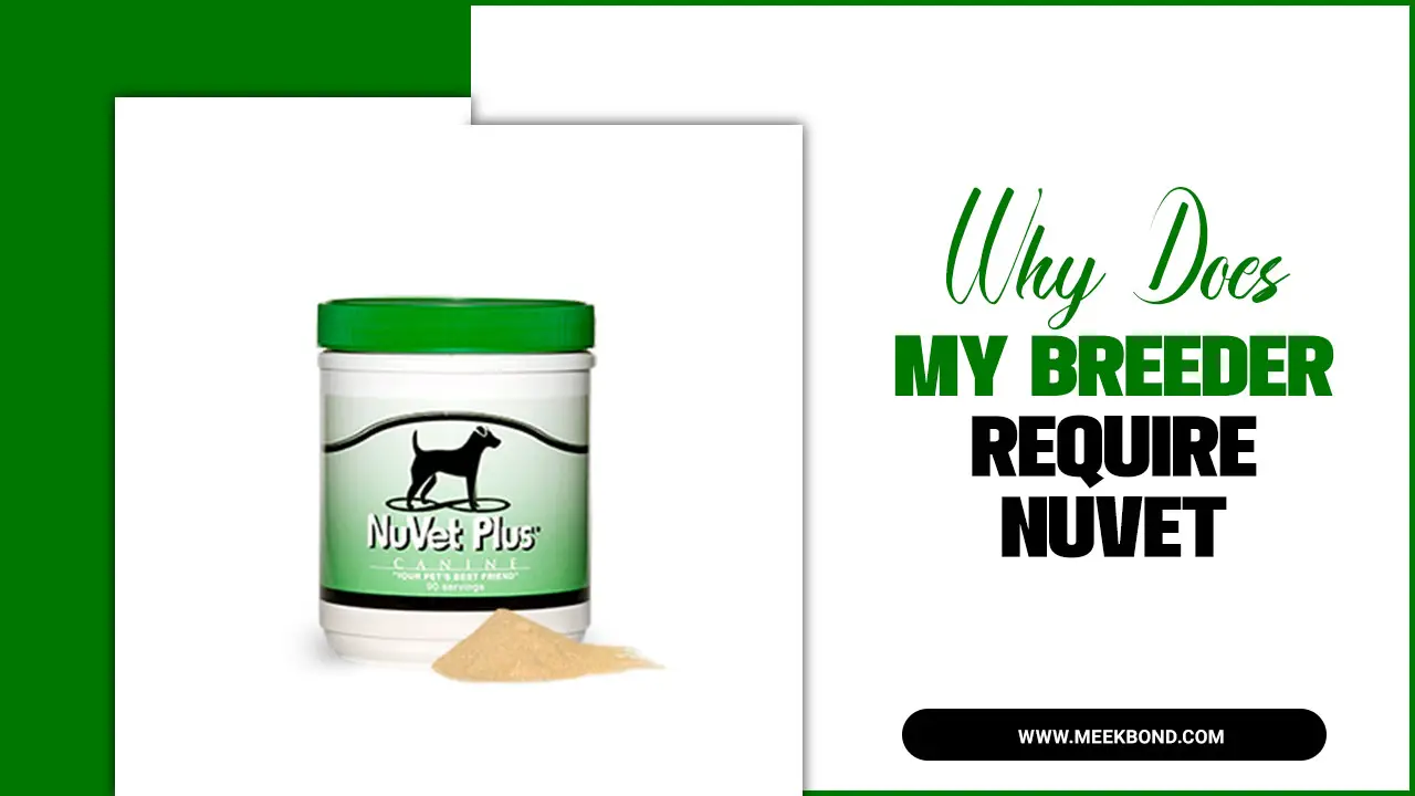 Why Does My Breeder Require Nuvet – A Guide For Pet Owners