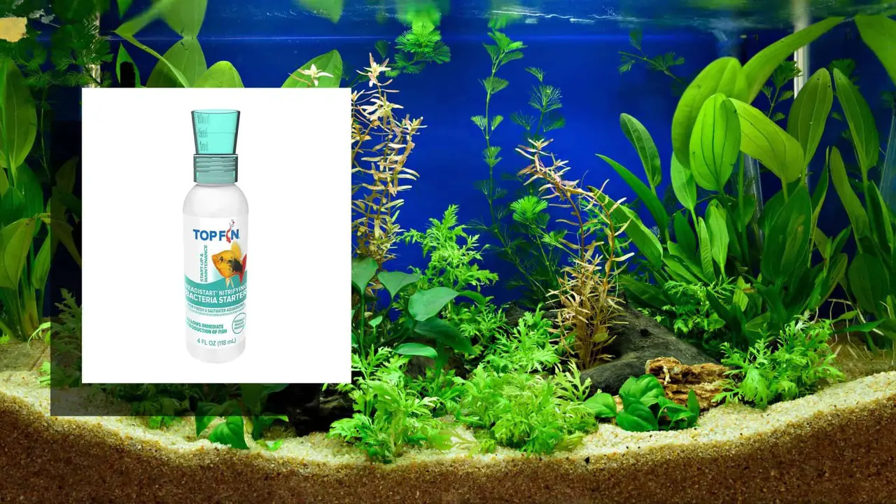 How To Add Top Fin Bacteria Starter To Your Aquarium